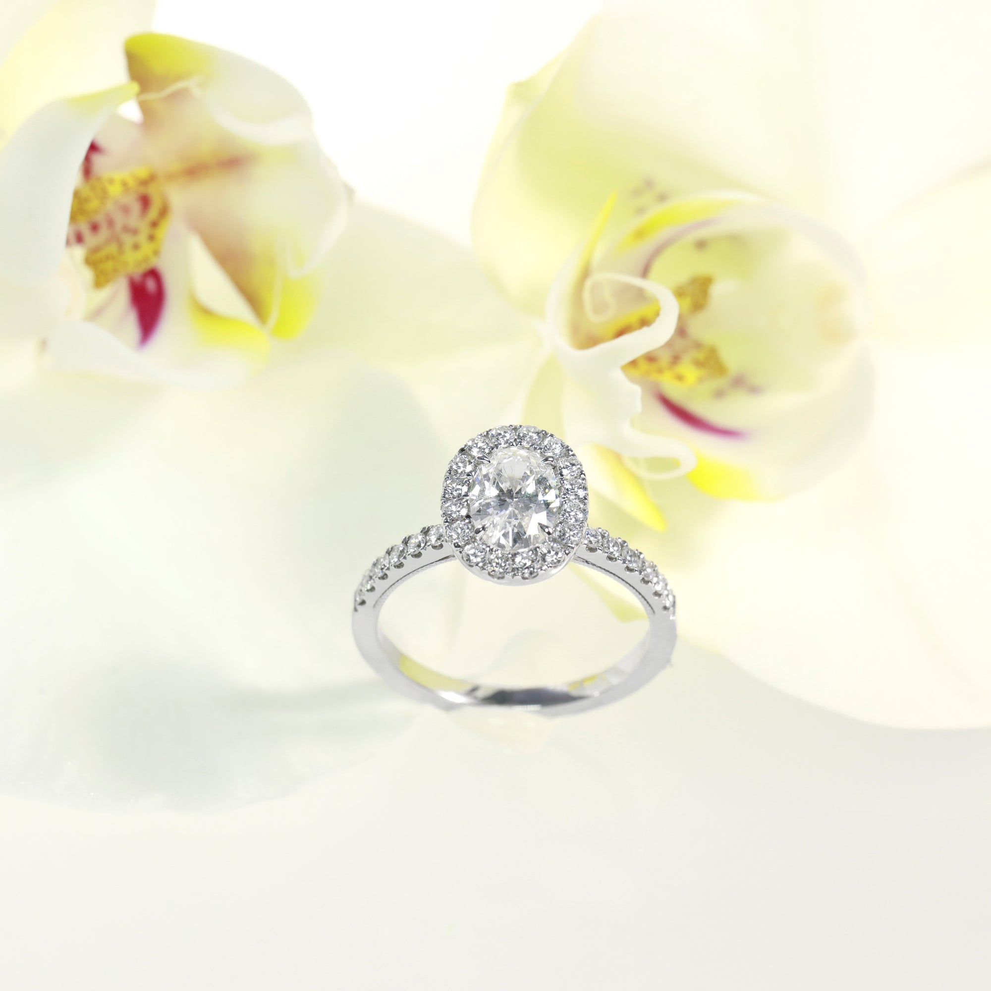 14k white gold diamond engagement ring featuring a 0.84 carat oval diamond center and round brilliant diamond halo and side stones weighing a total of 0.45 carats. Total diamond weight: 1.29ct